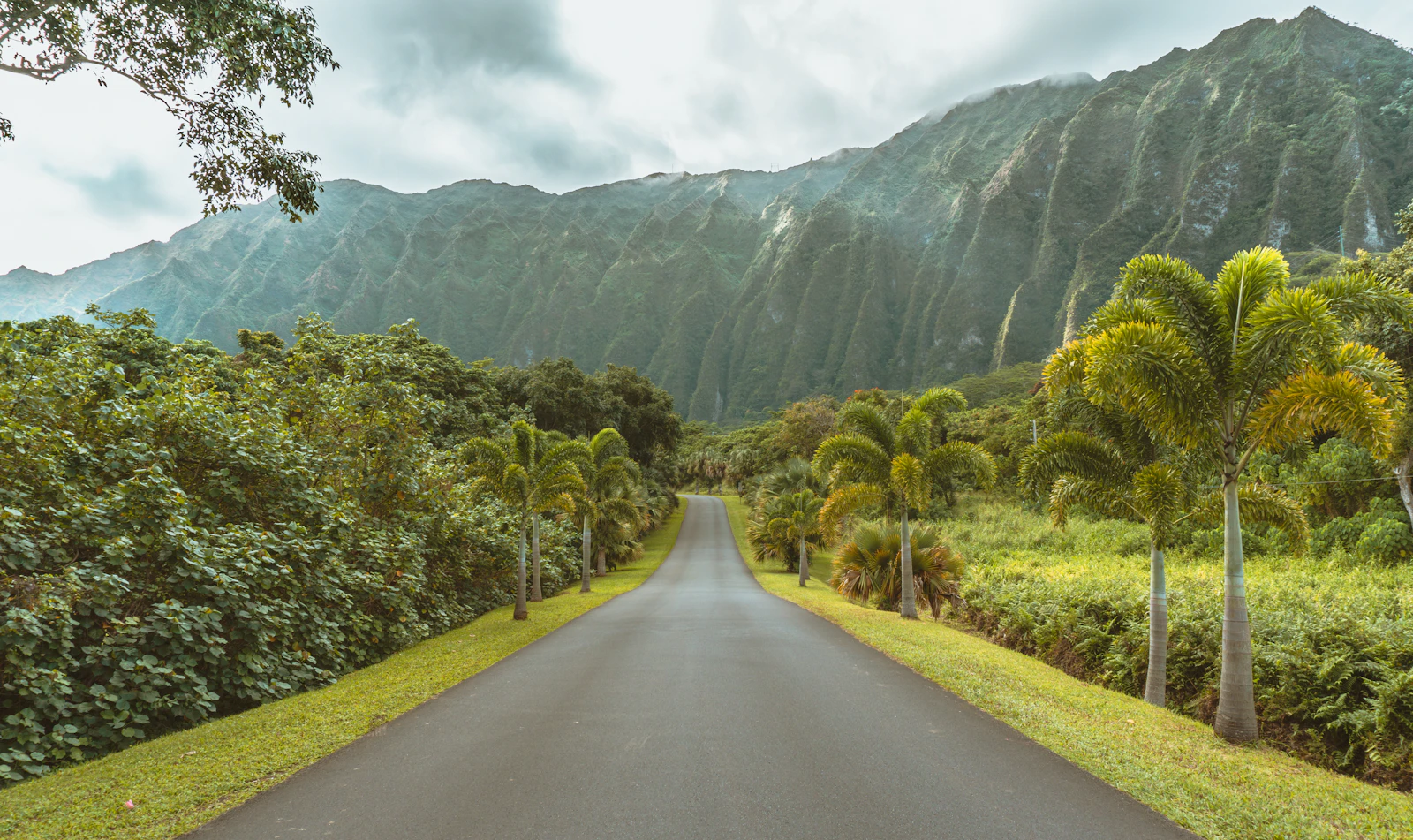 Lihue, Hawaii photo 8 by Darren Lawrence