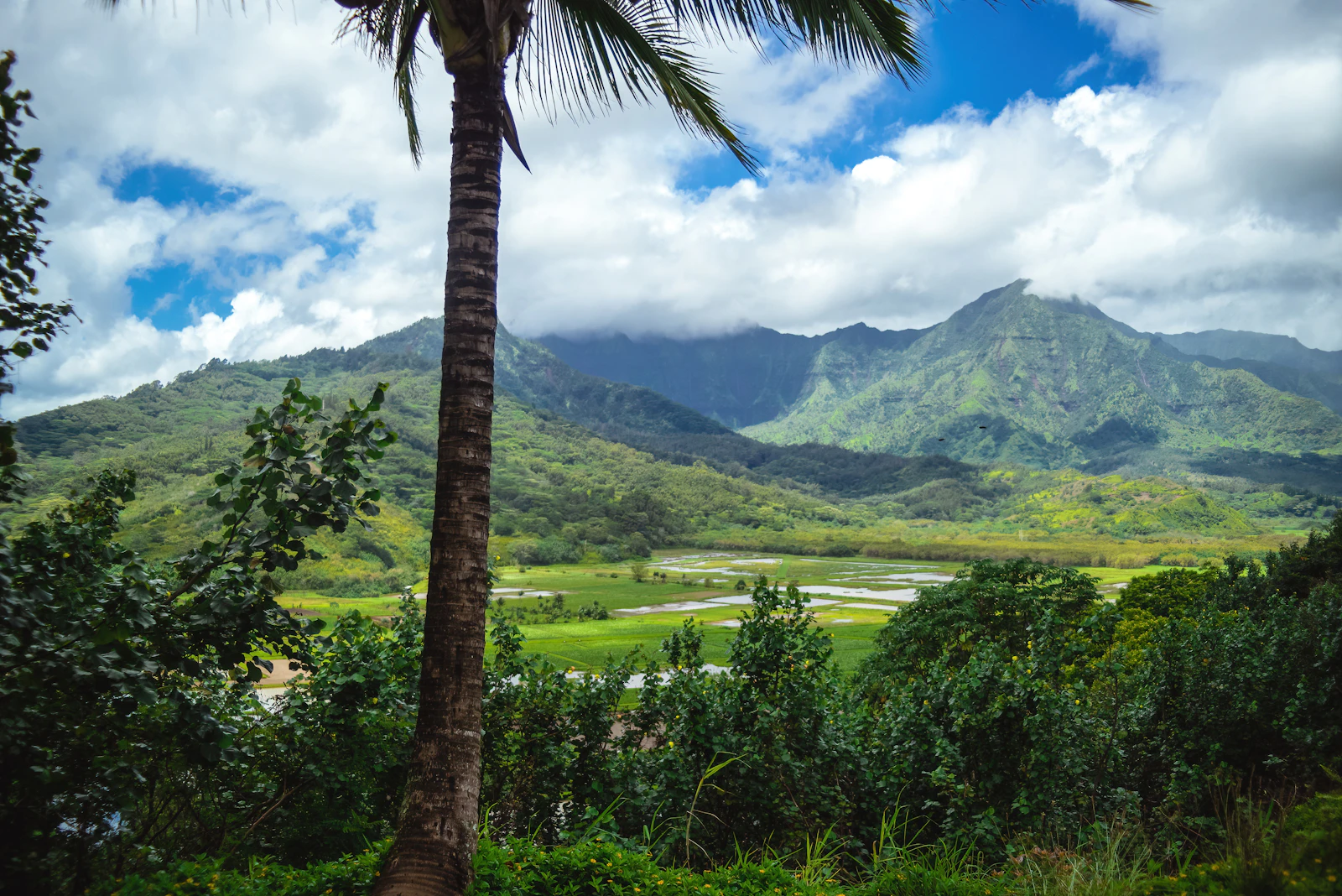 Princeville, Hawaii photo 2 by Kaitlin Kelly