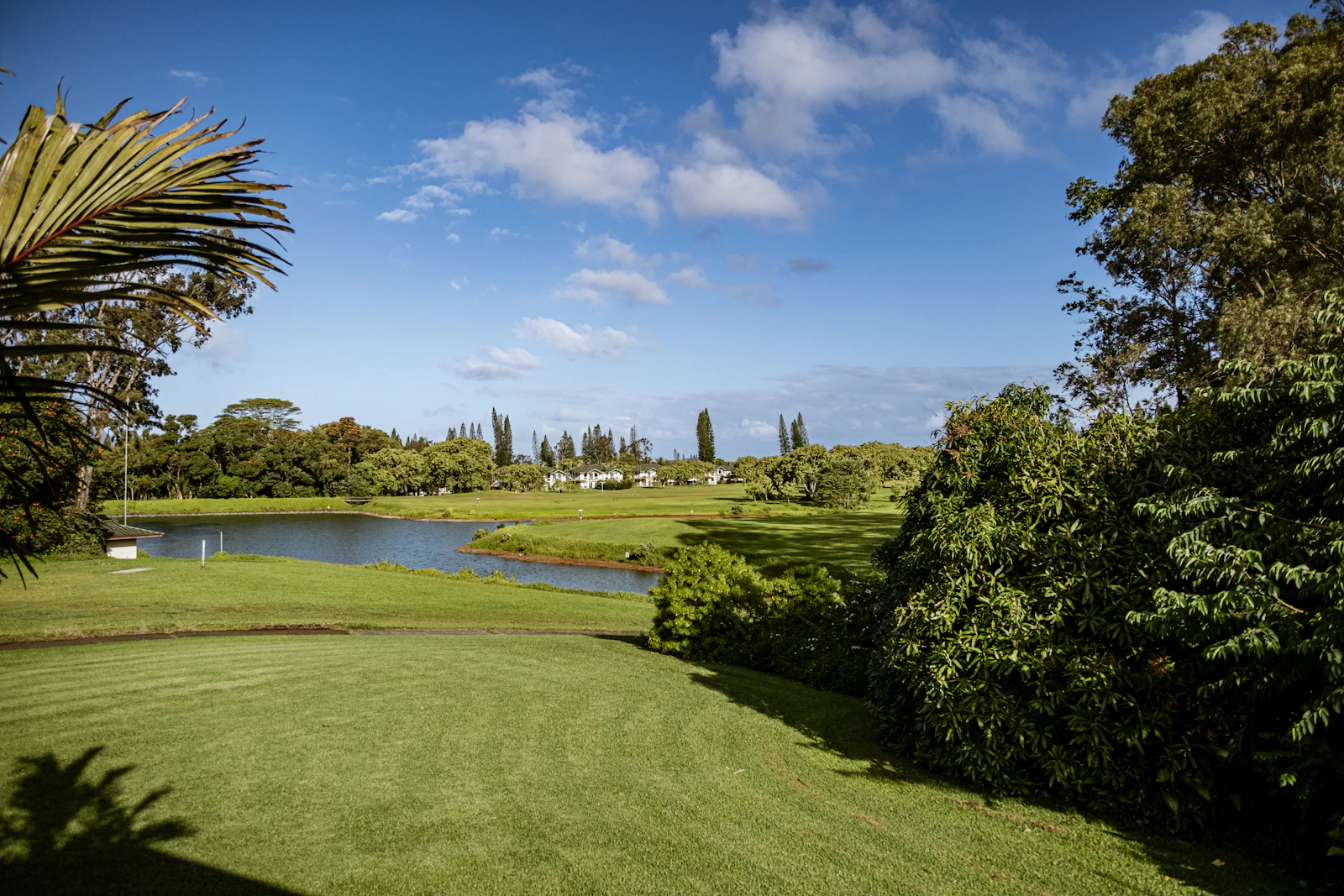 Princeville, Hawaii photo 3 by Alan Rodriguez