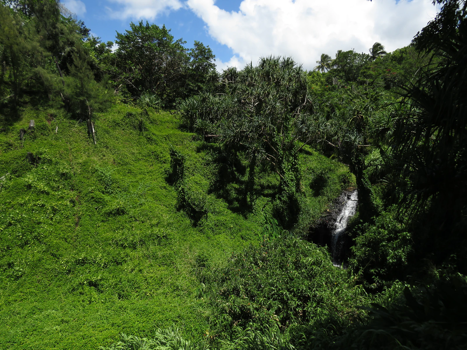 Princeville, Hawaii photo 6 by David Lang