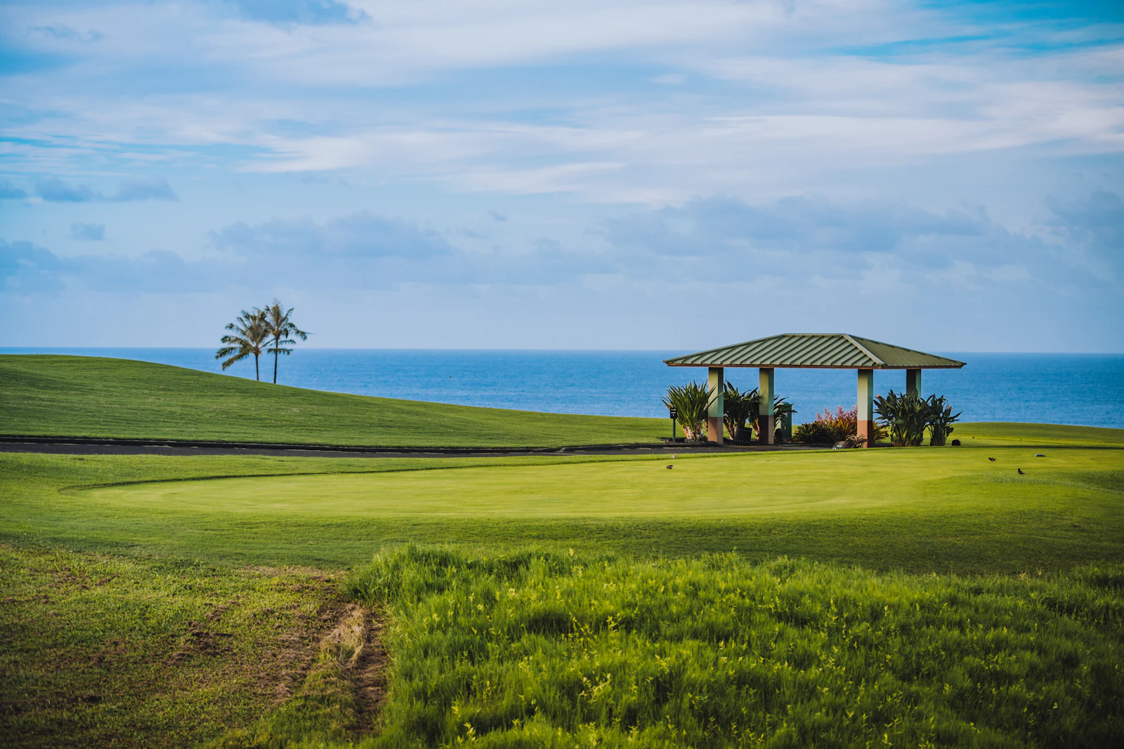 Princeville, Hawaii photo 19 by Zane Persaud
