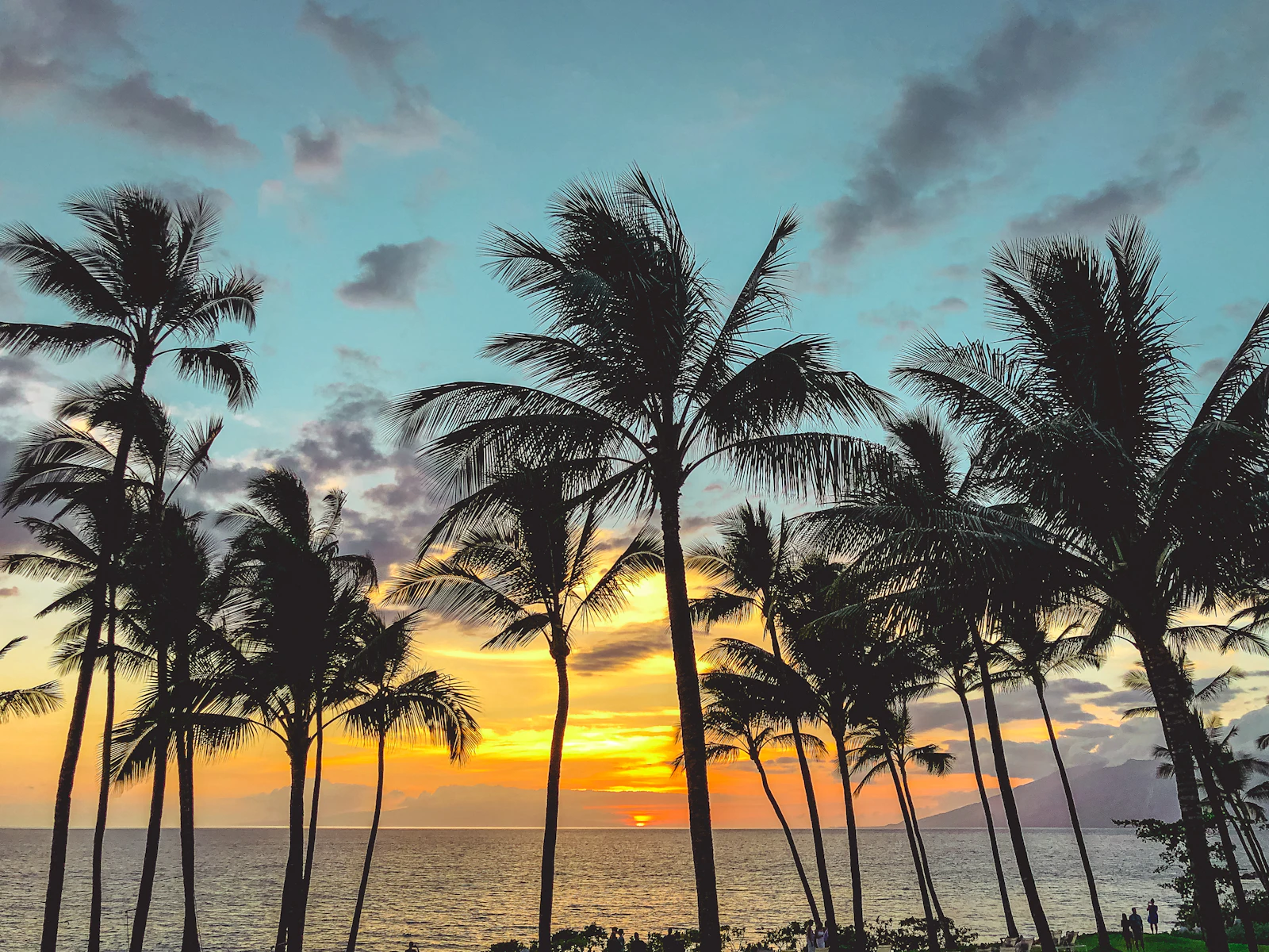 Wailea, Hawaii photo 19 by Neora Aylon
