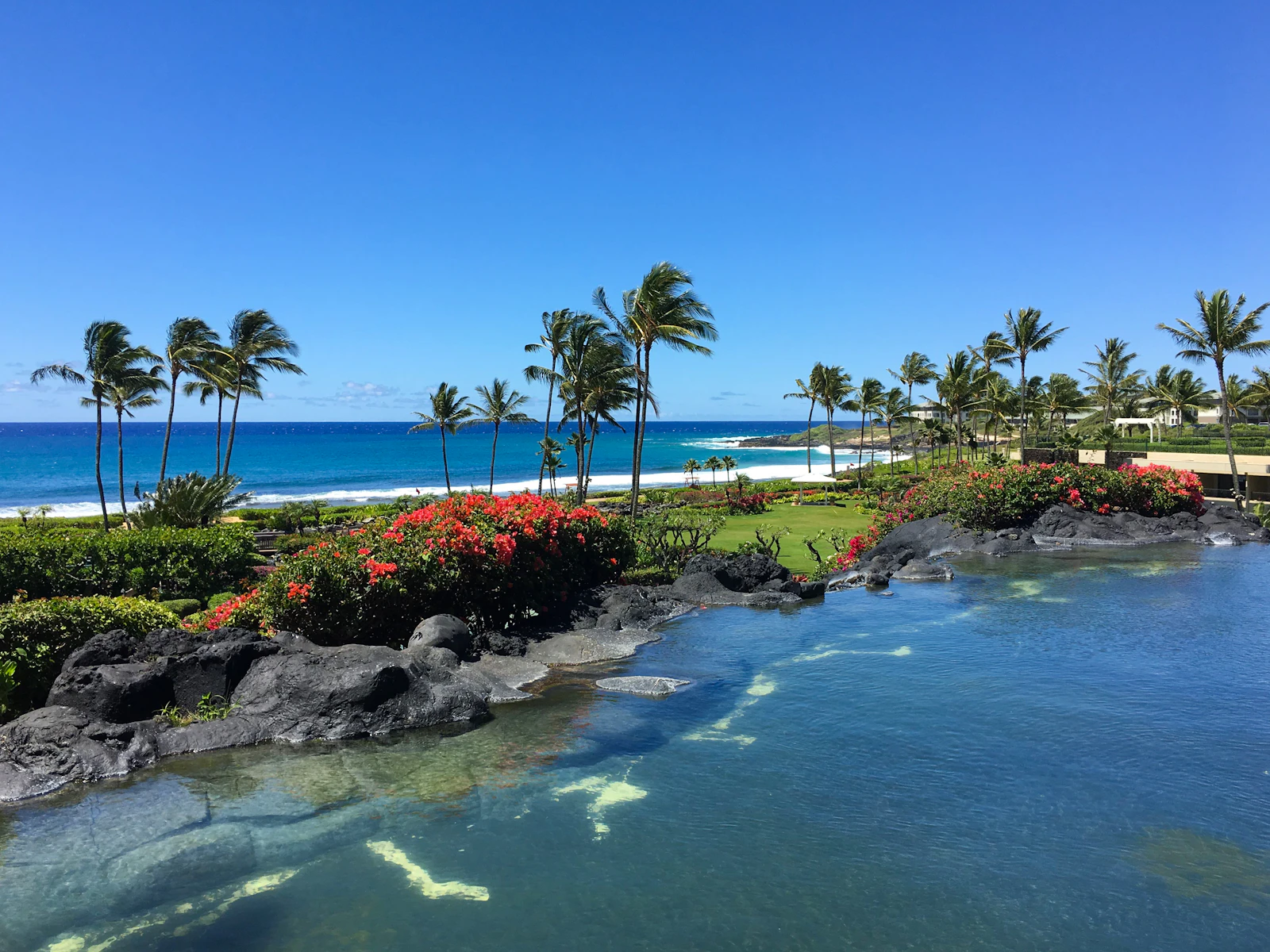 Wailea, Hawaii photo 23 by Flora Hon