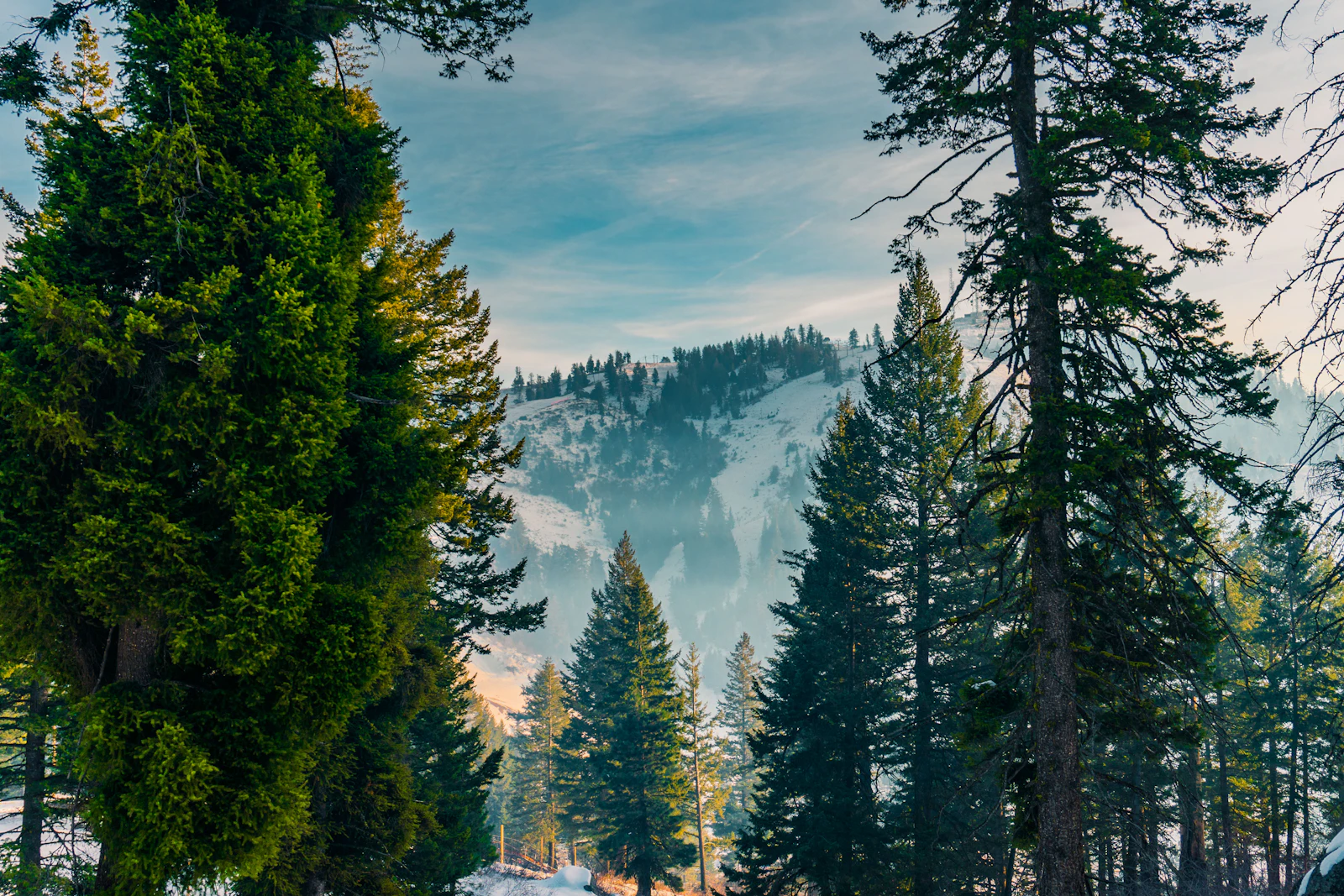 Boise, Idaho photo 18 by Kevin Fitzgerald