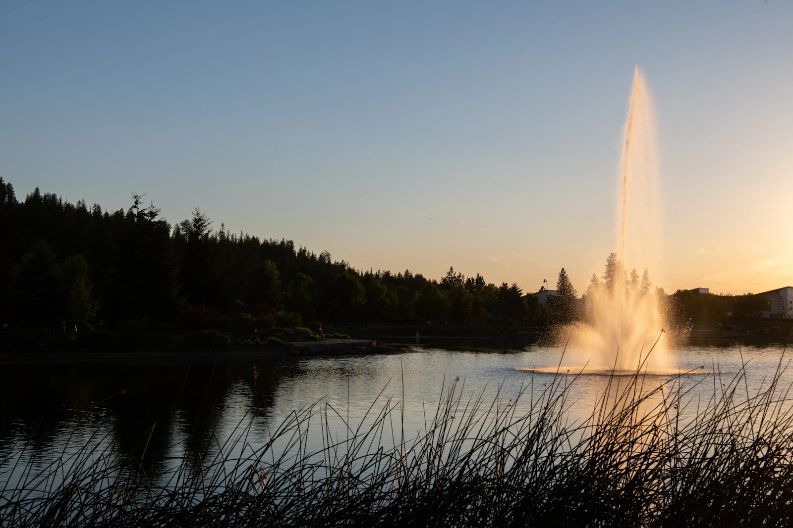 Coeur d'Alene, Idaho photo 21 by Steve Smith