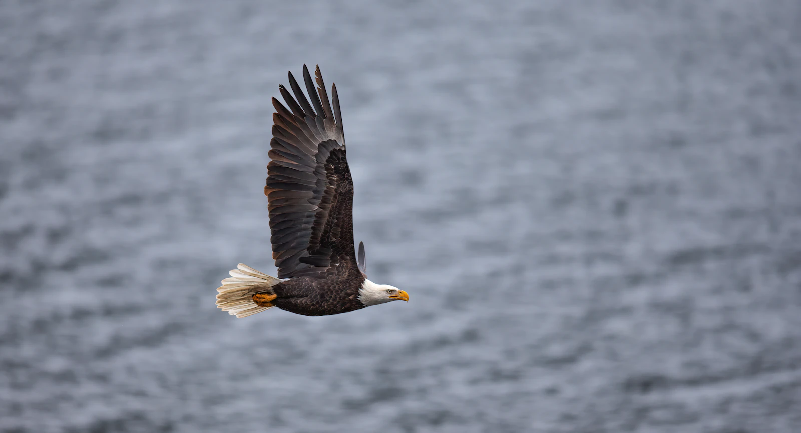 Coeur d'Alene, Idaho photo 13 by Jason Buscema