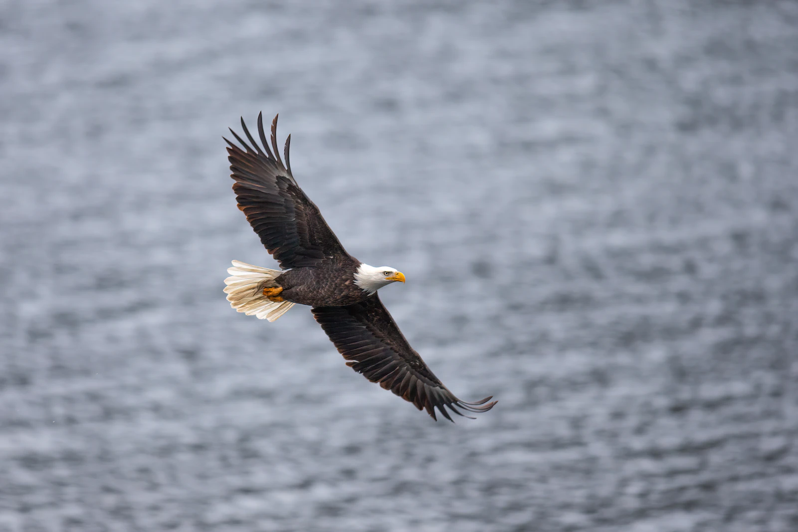 Coeur d'Alene, Idaho photo 10 by Jason Buscema