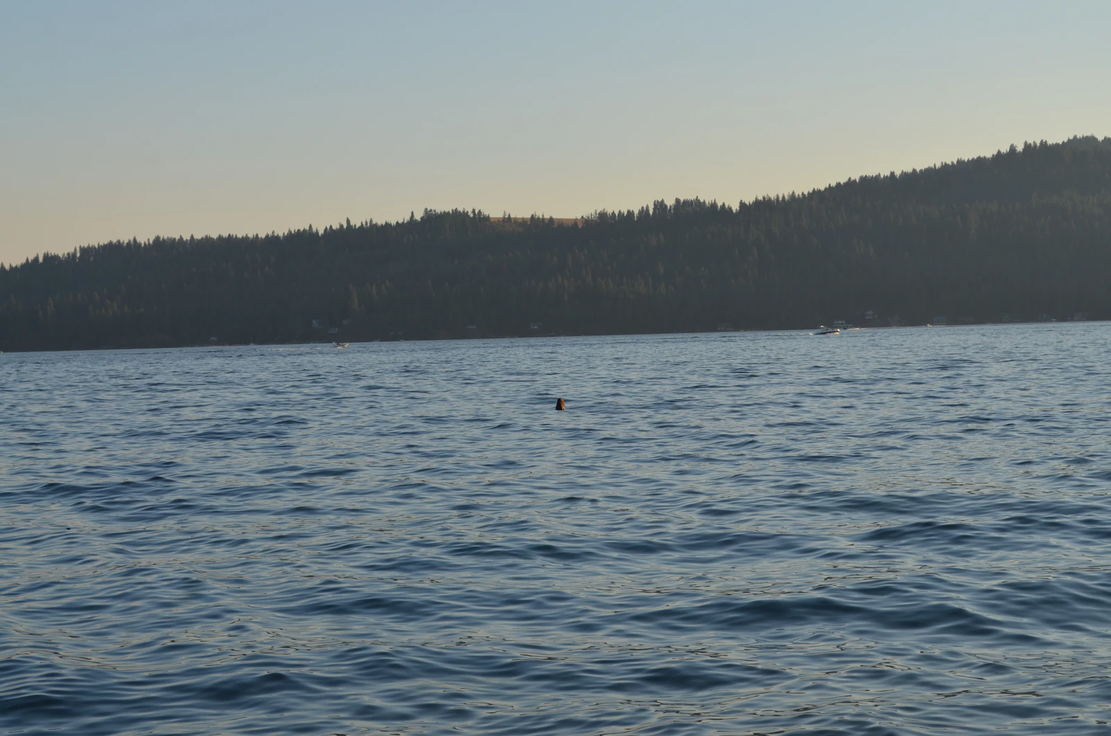 Coeur d'Alene, Idaho photo 16 by Jonny C