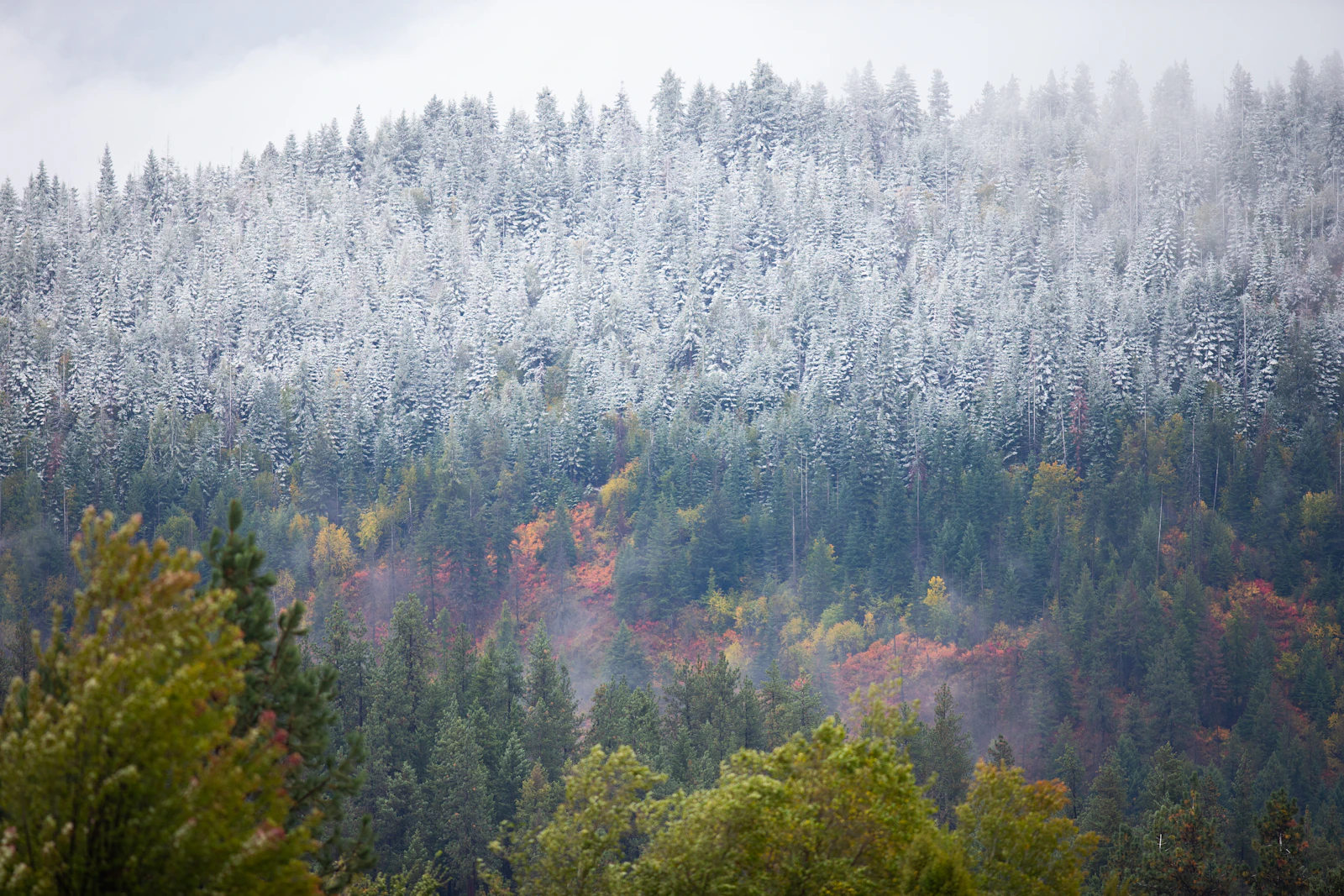 Coeur d'Alene, Idaho photo 17 by Jason Buscema