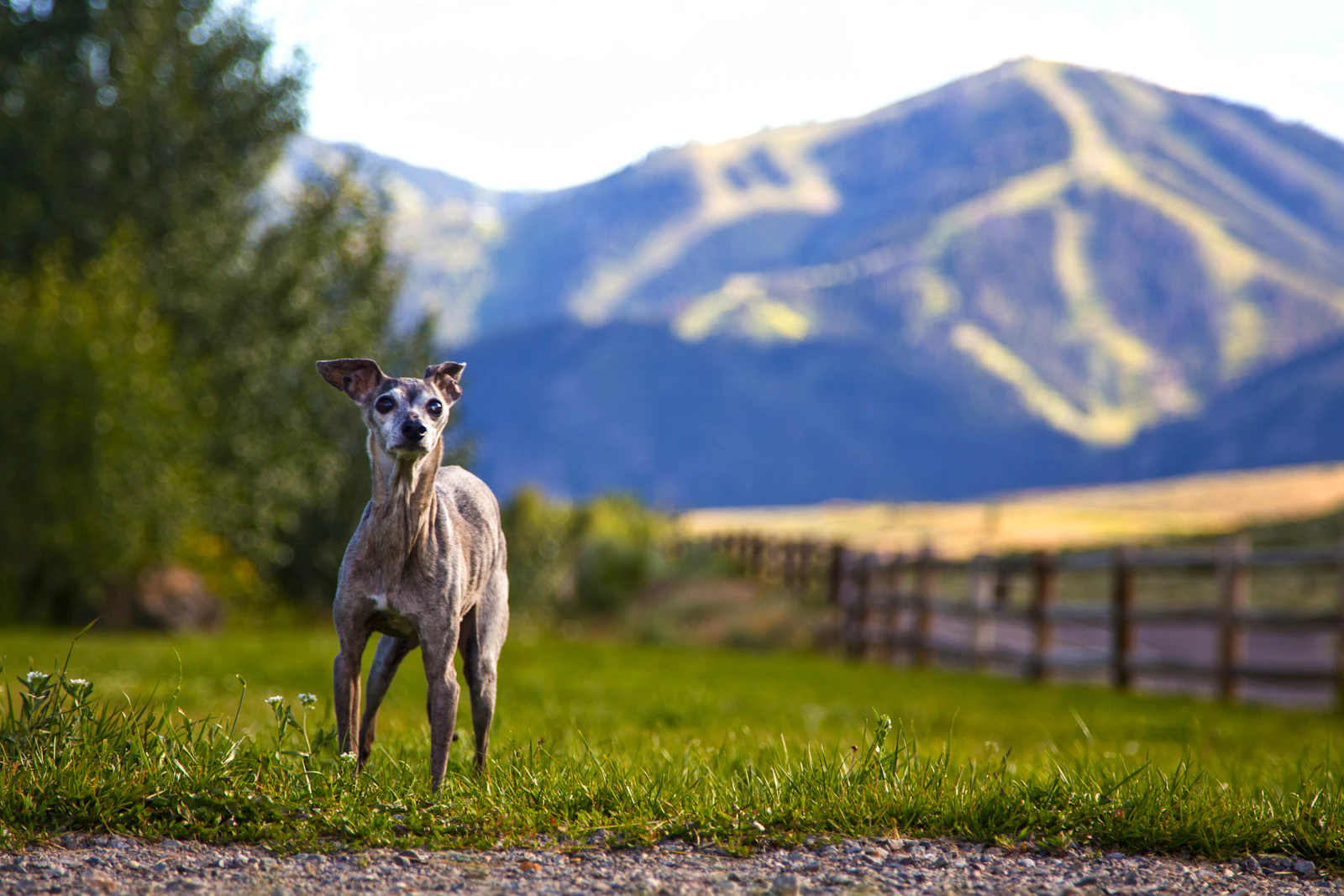 Sun Valley, Idaho photo 7 by Brian Gerry
