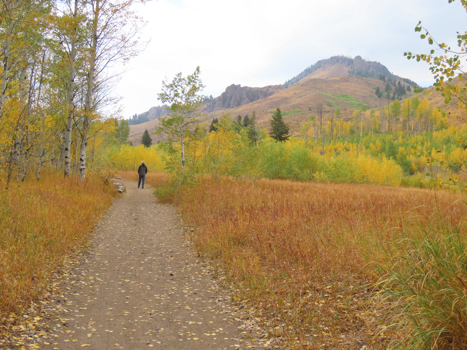 Sun Valley, Idaho photo 4 by Judy Beth Morris