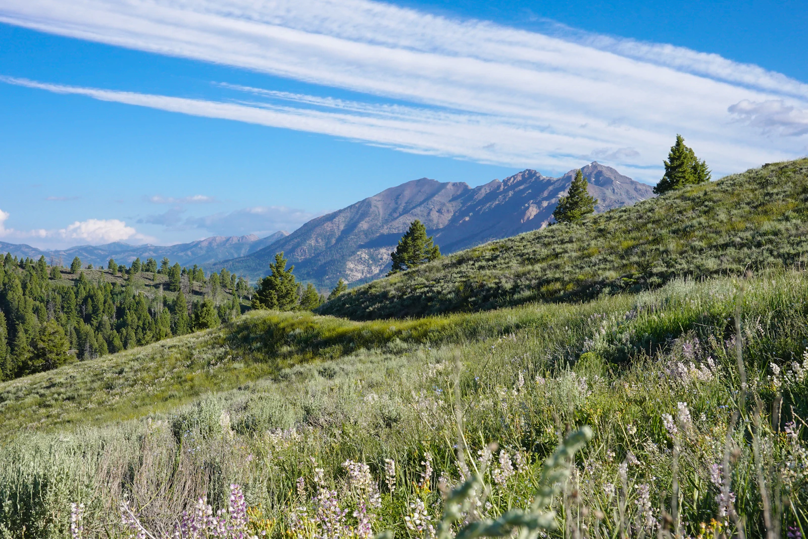 Sun Valley, Idaho photo 8 by Alex Bertha