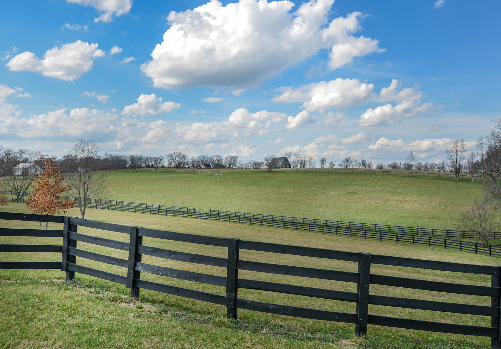 Lexington, Kentucky photo 24 by Cristina Anne Costello