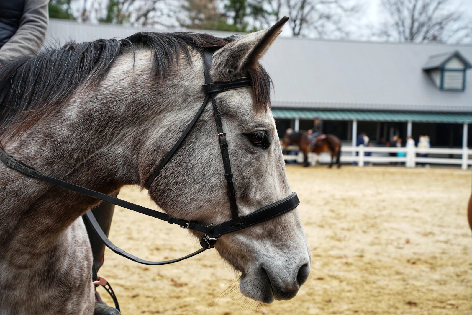 Lexington, Kentucky photo 9 by Harnik Patel