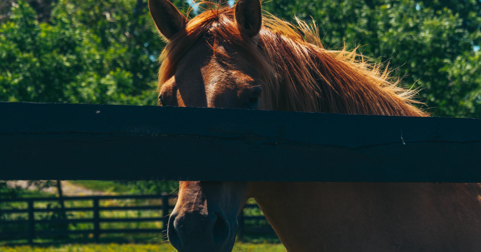 Lexington, Kentucky photo 7 by Kevin Loesch