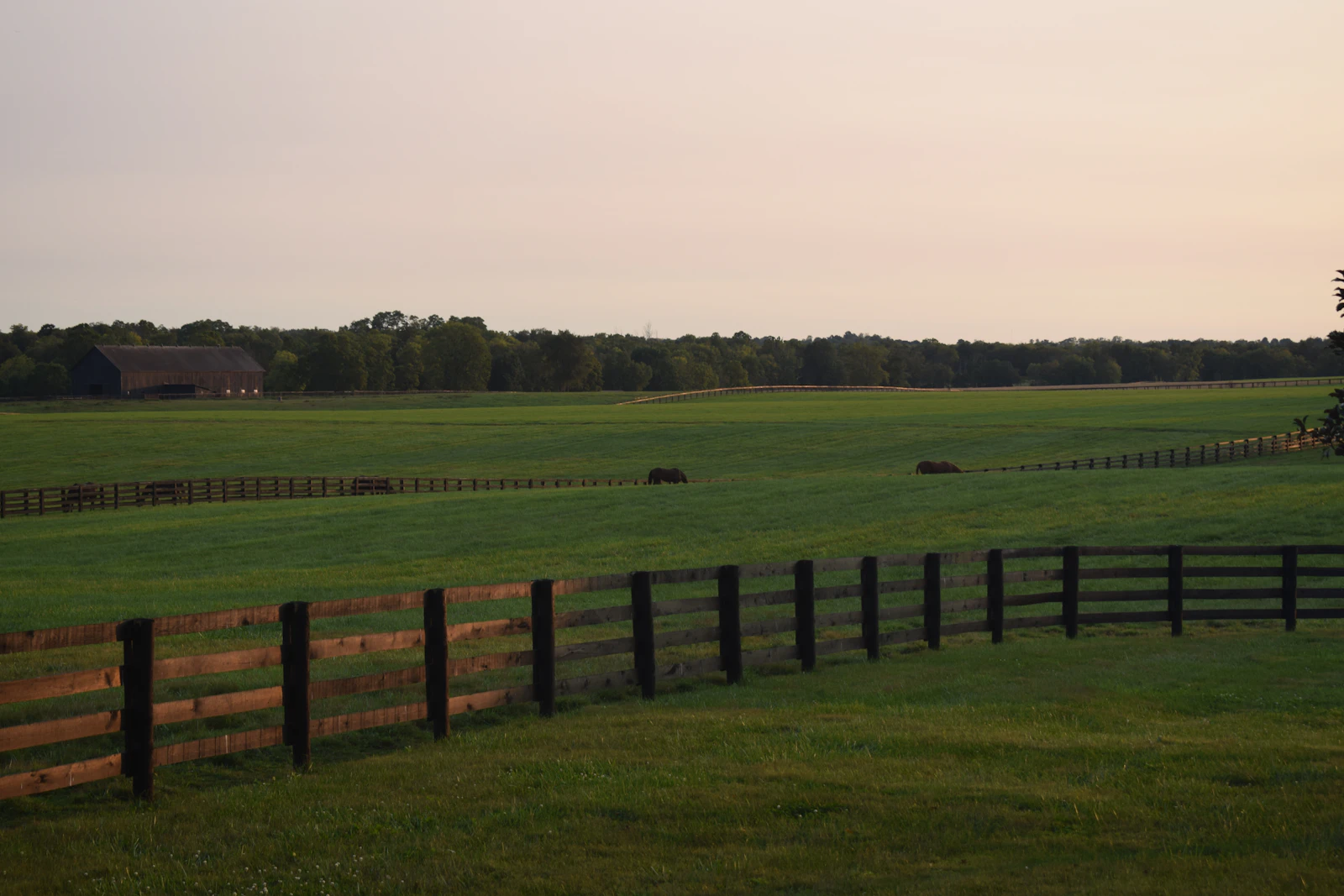Lexington, Kentucky photo 5 by Eva Varlioglu
