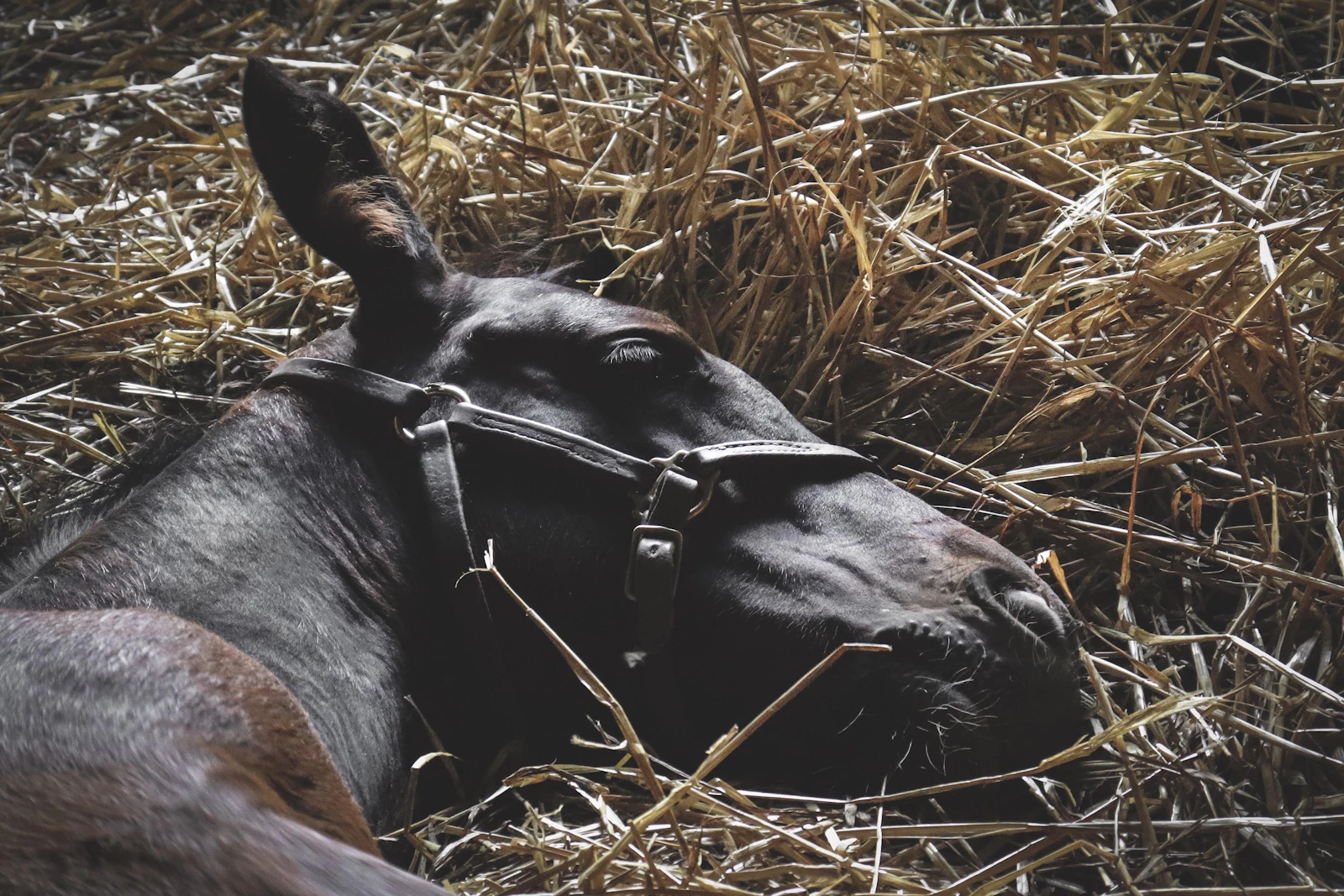 Lexington, Kentucky photo 19 by Jamison Riley