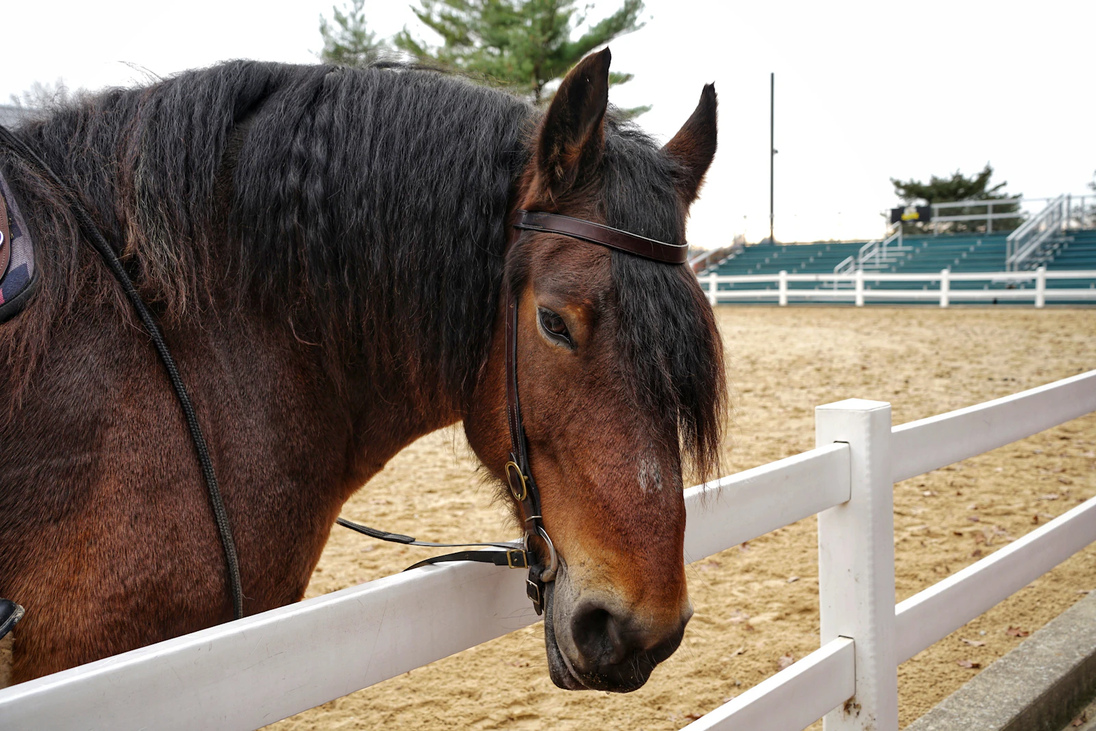 Lexington, Kentucky photo 10 by Harnik Patel