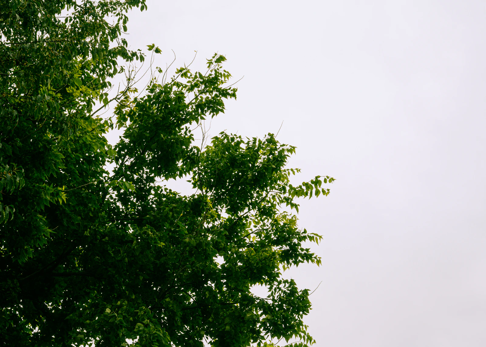 Lexington, Kentucky photo 29 by Zach Fetters