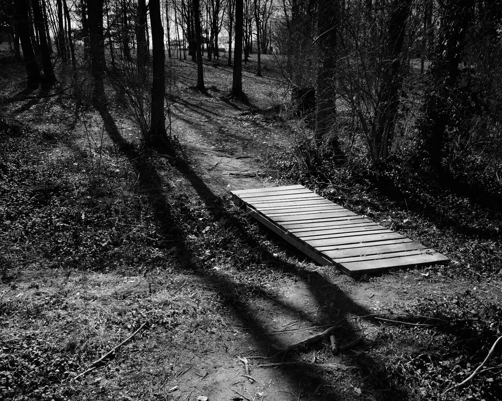 Lexington, Kentucky photo 13 by Benjamin White