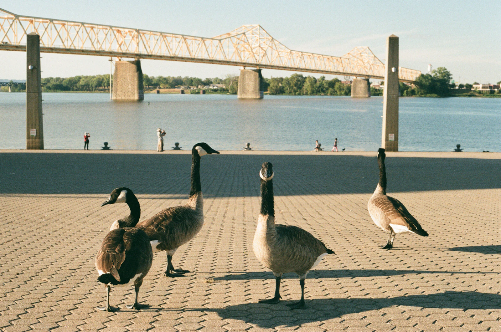 Louisville, Kentucky photo 18 by Emmy Gaddy