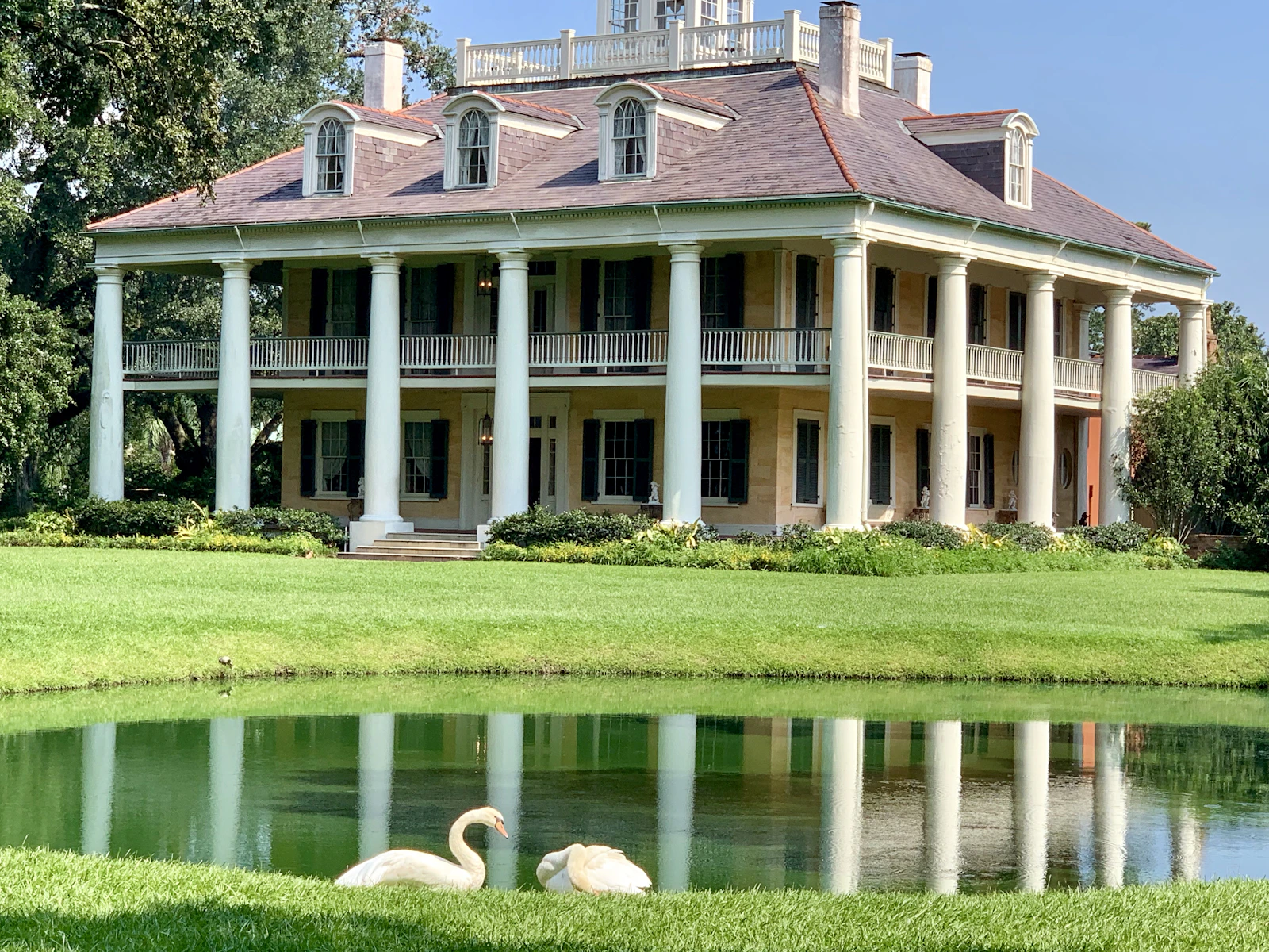 Lafayette, Louisiana photo 23 by Linda Knicely