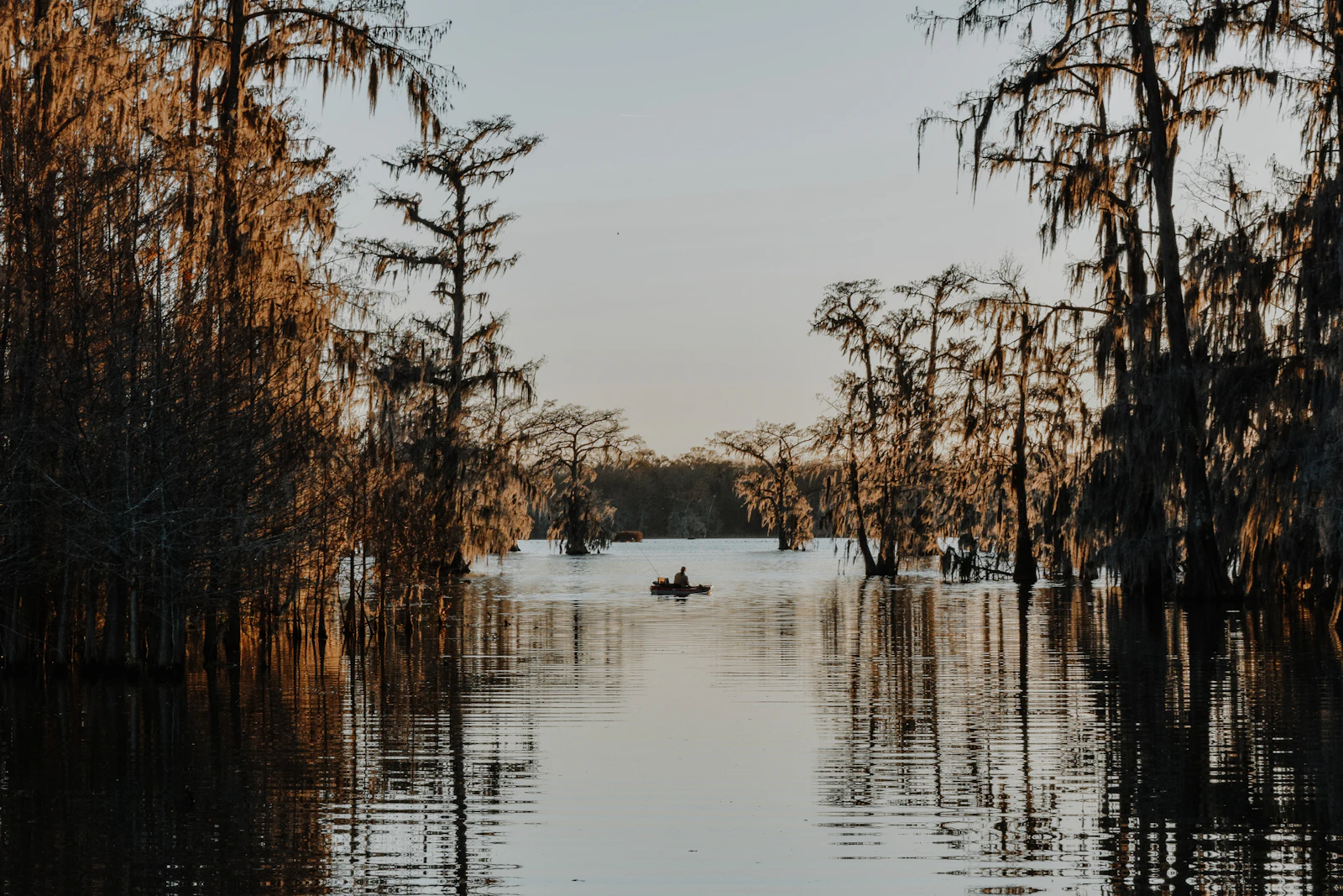 Lafayette, Louisiana photo 1 by Nicole Herrero