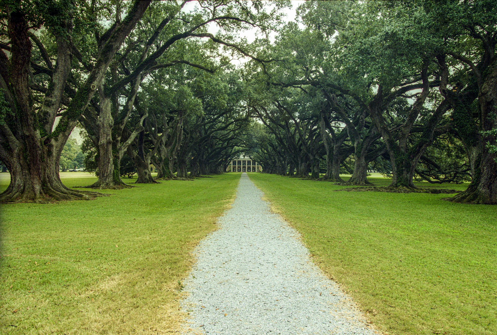 Lafayette, Louisiana photo 16 by Mick Haupt