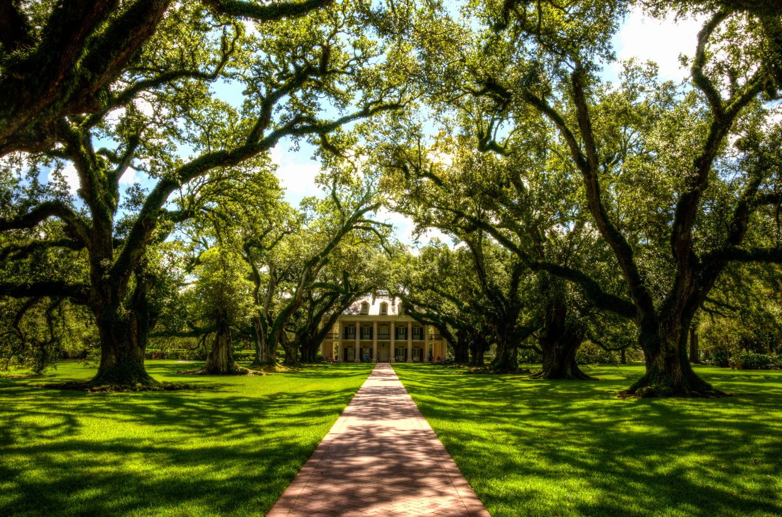 Lafayette, Louisiana photo 3 by David Hertle