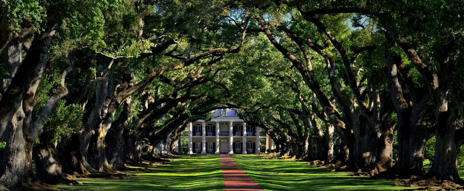 Lafayette, Louisiana photo 2 by Ron Dauphin