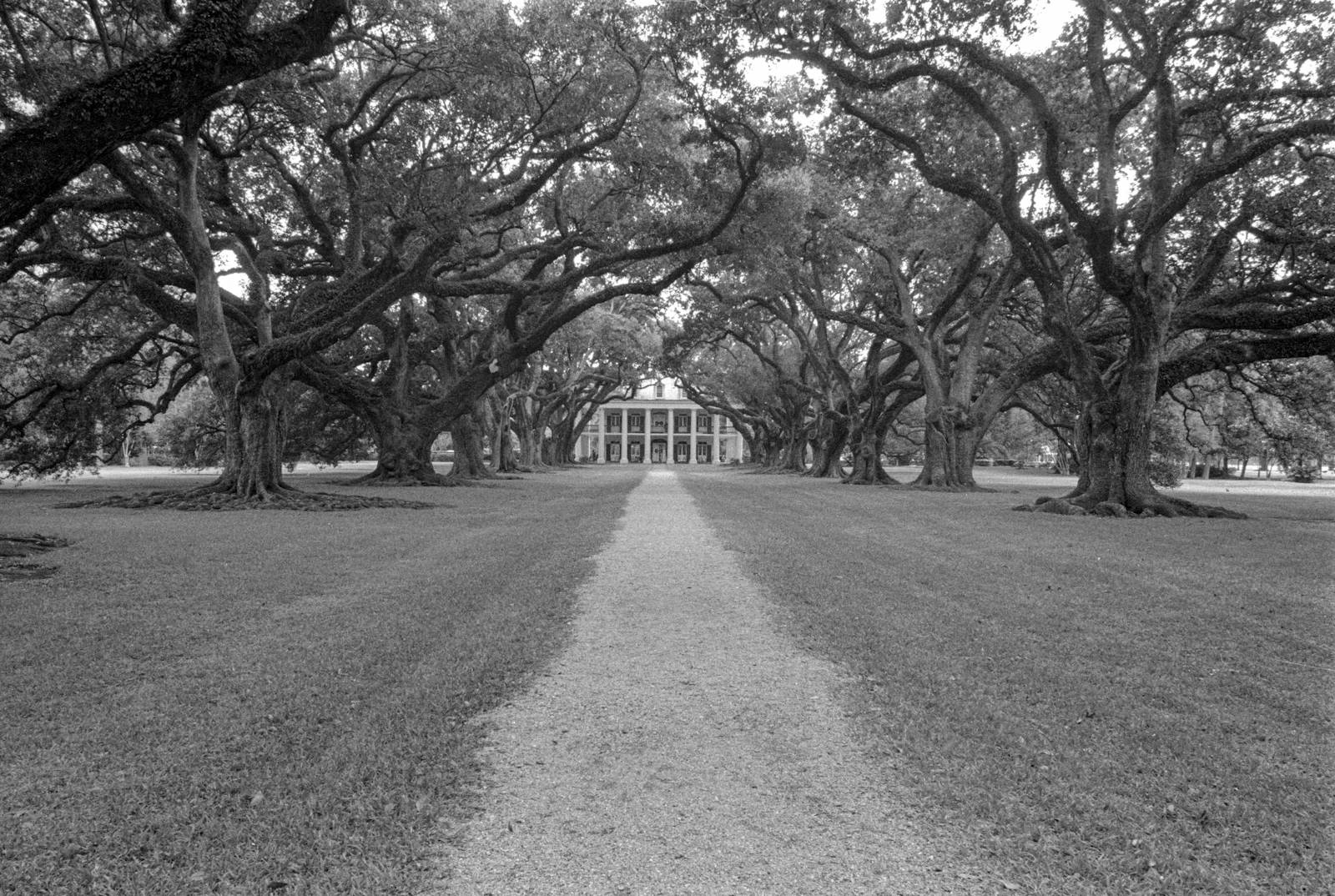 Lafayette, Louisiana photo 26 by Mick Haupt