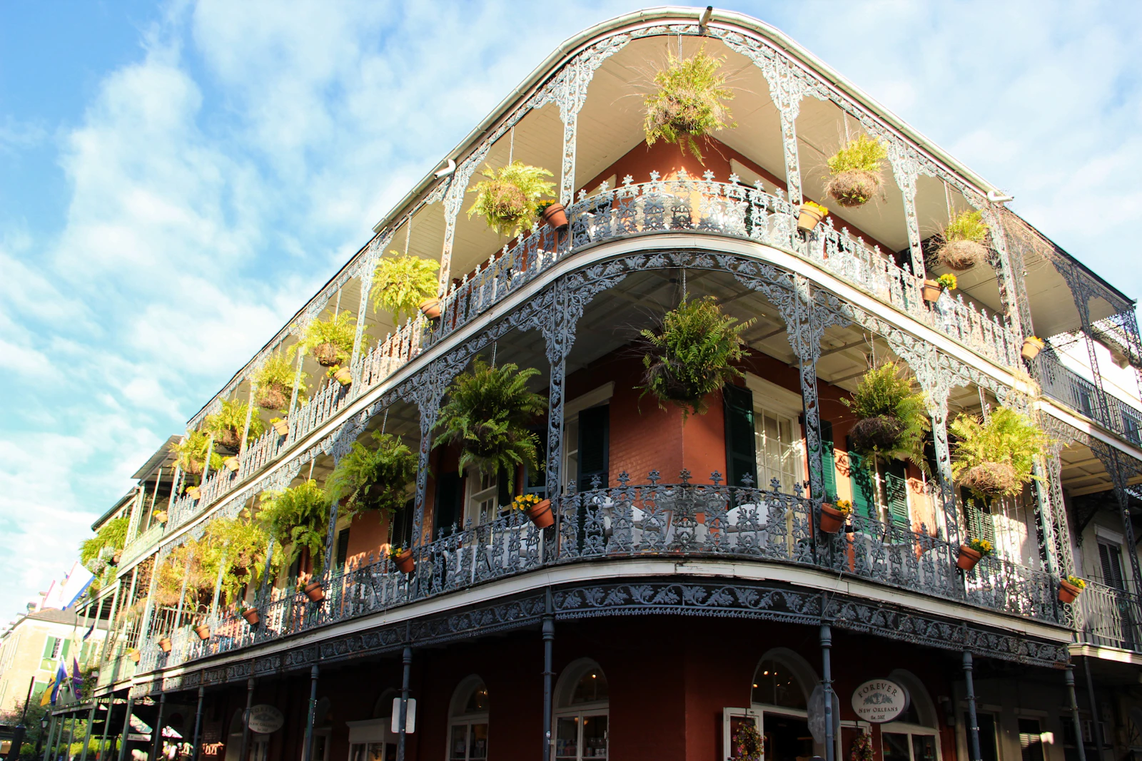 New Orleans, Louisiana photo 5 by Aya Salman