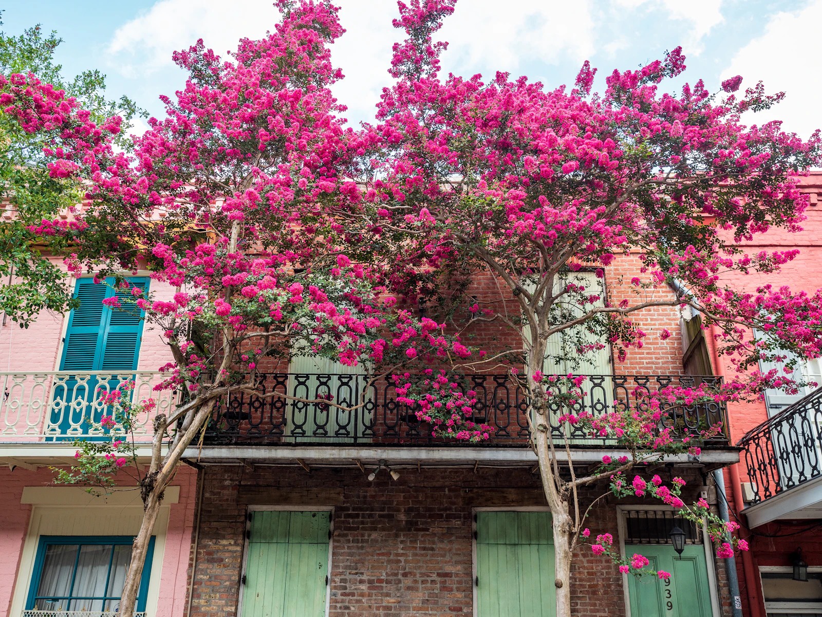 New Orleans, Louisiana photo 17 by Mary Hammel