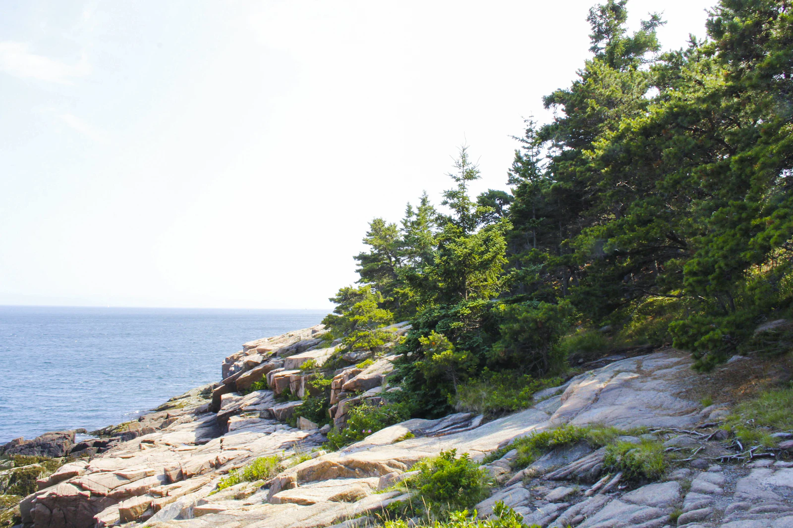 Bar Harbor, Maine photo 23 by Savannah Rohleder