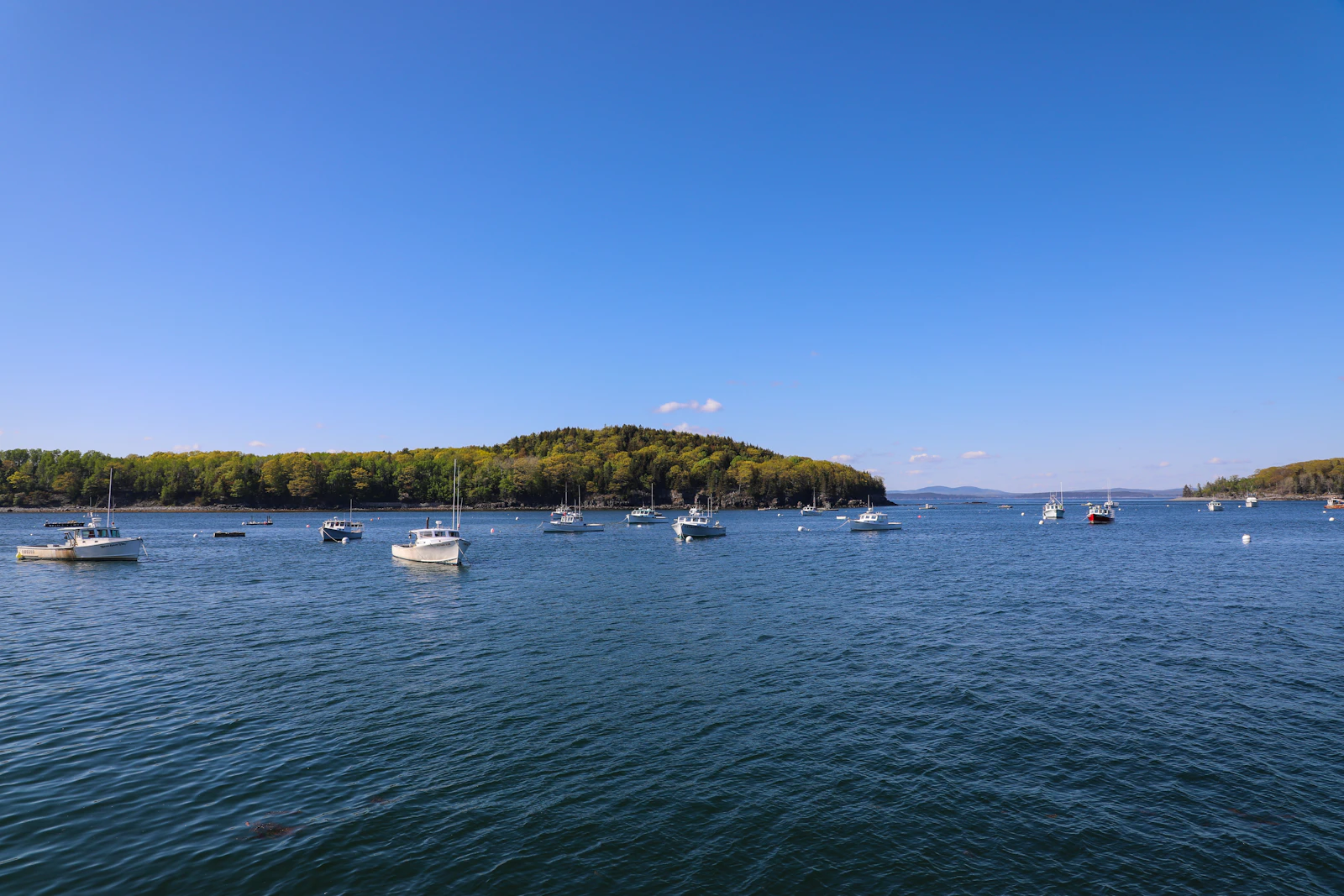 Bar Harbor, Maine photo 6 by Michael & Diane Weidner