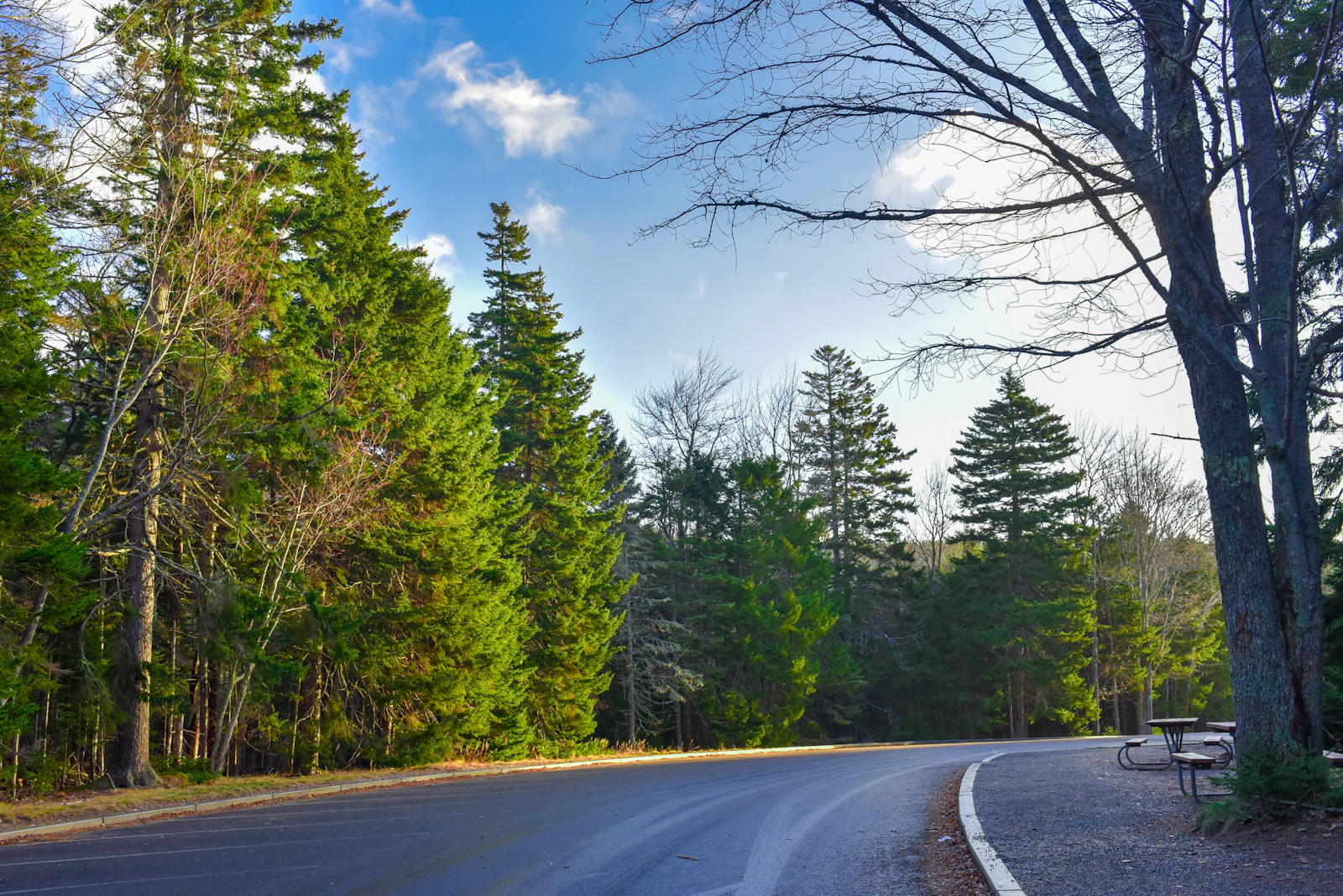 Bar Harbor, Maine photo 12 by Nanda Firdaus