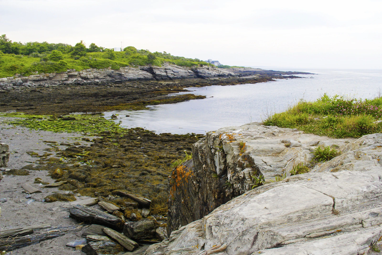 Bar Harbor, Maine photo 21 by Savannah Rohleder