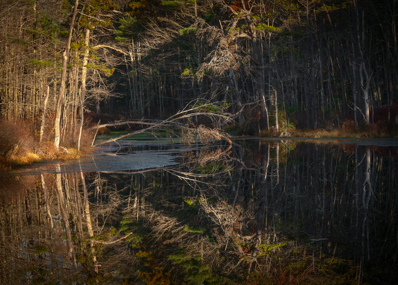 Kennebunkport, Maine photo 14 by Intricate Explorer