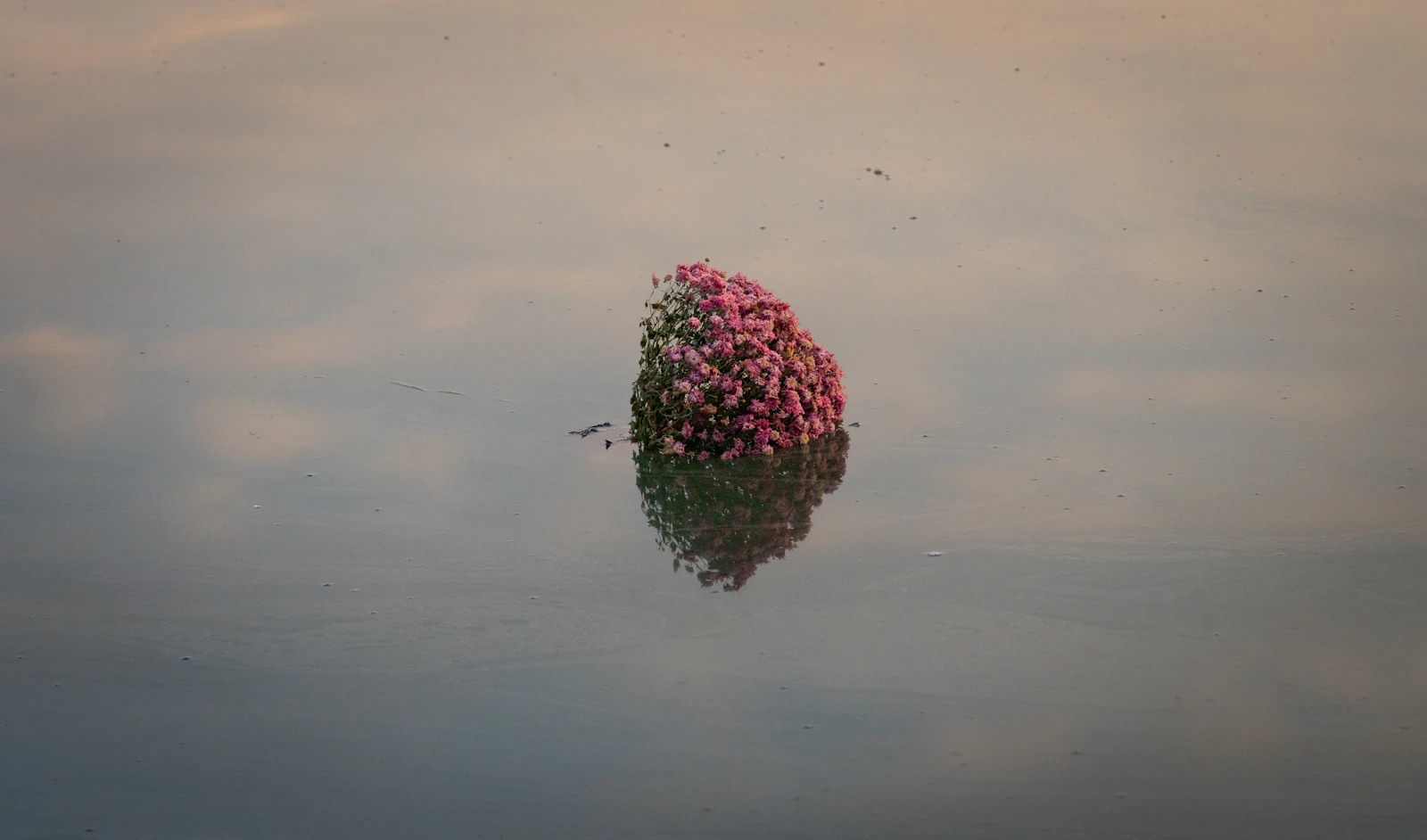 Kennebunkport, Maine photo 12 by Intricate Explorer