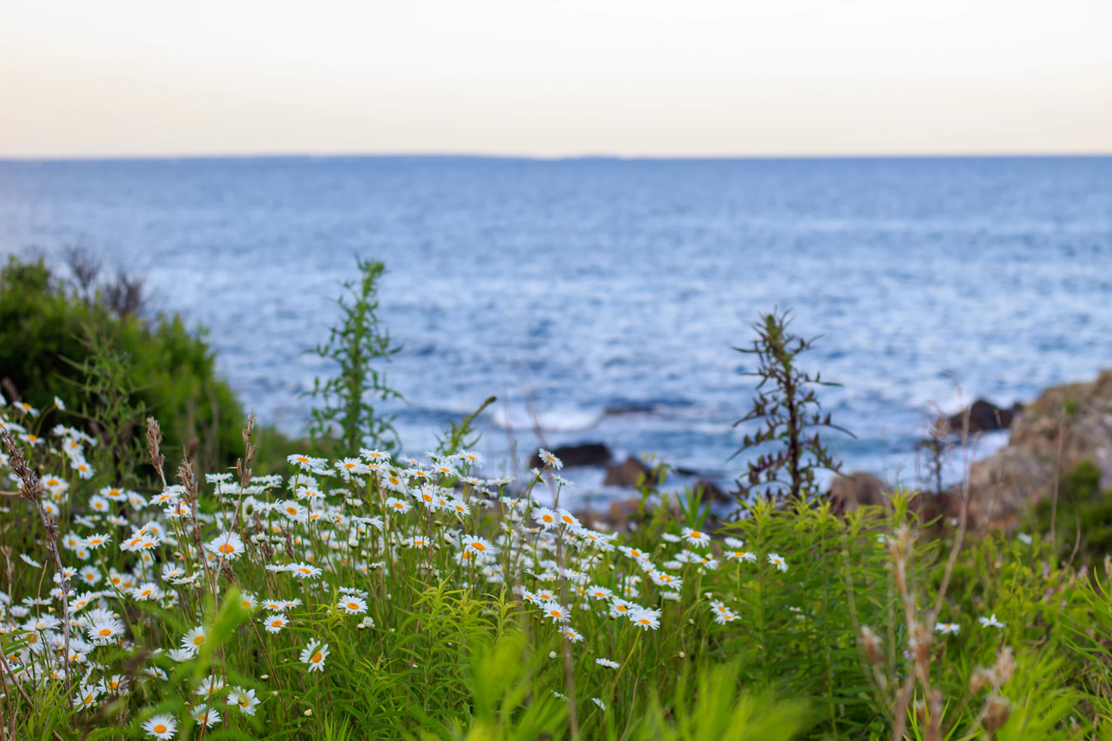 Ogunquit, Maine travel photo