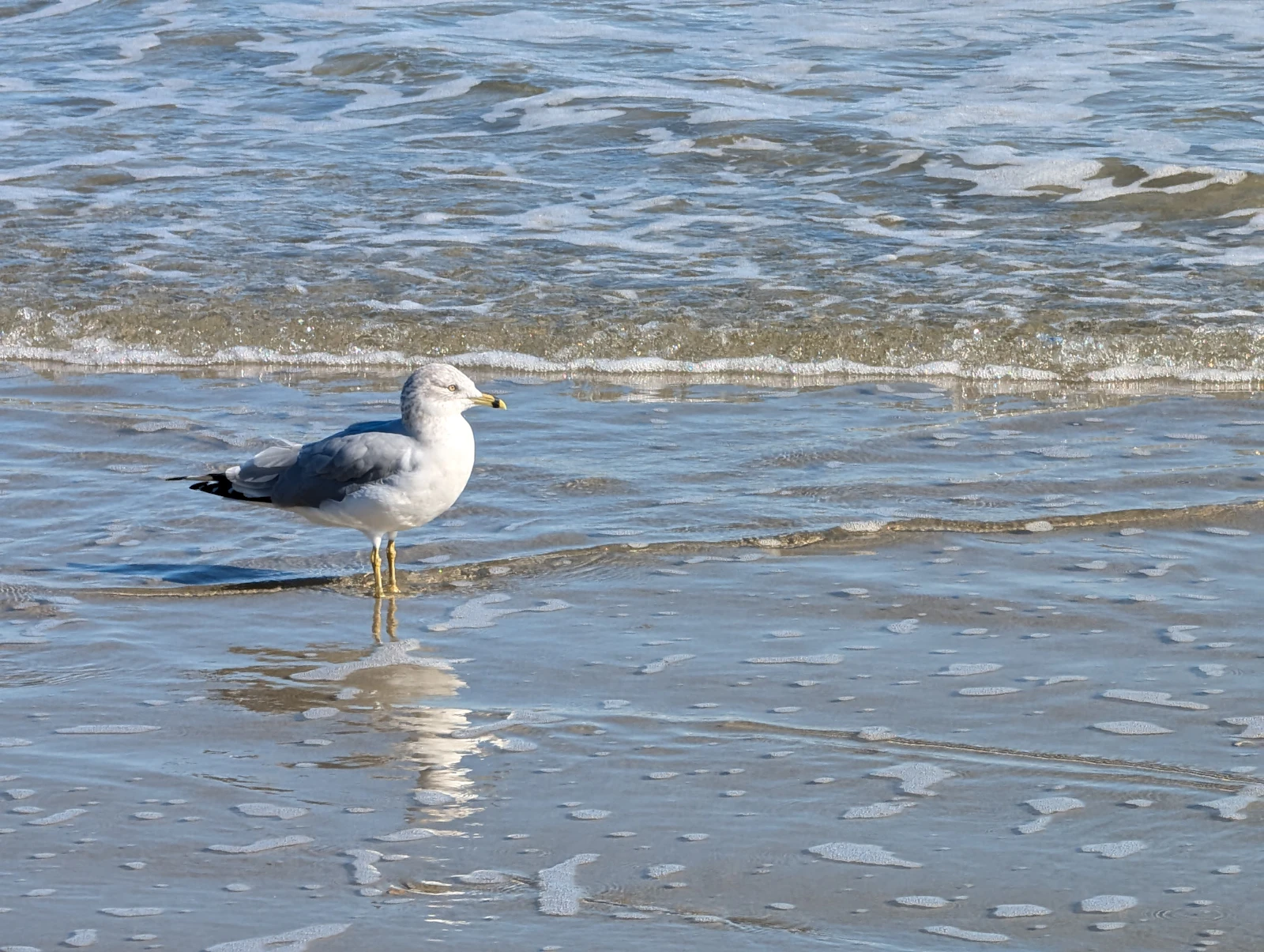 Ogunquit, Maine photo 29 by Alex Wolfe