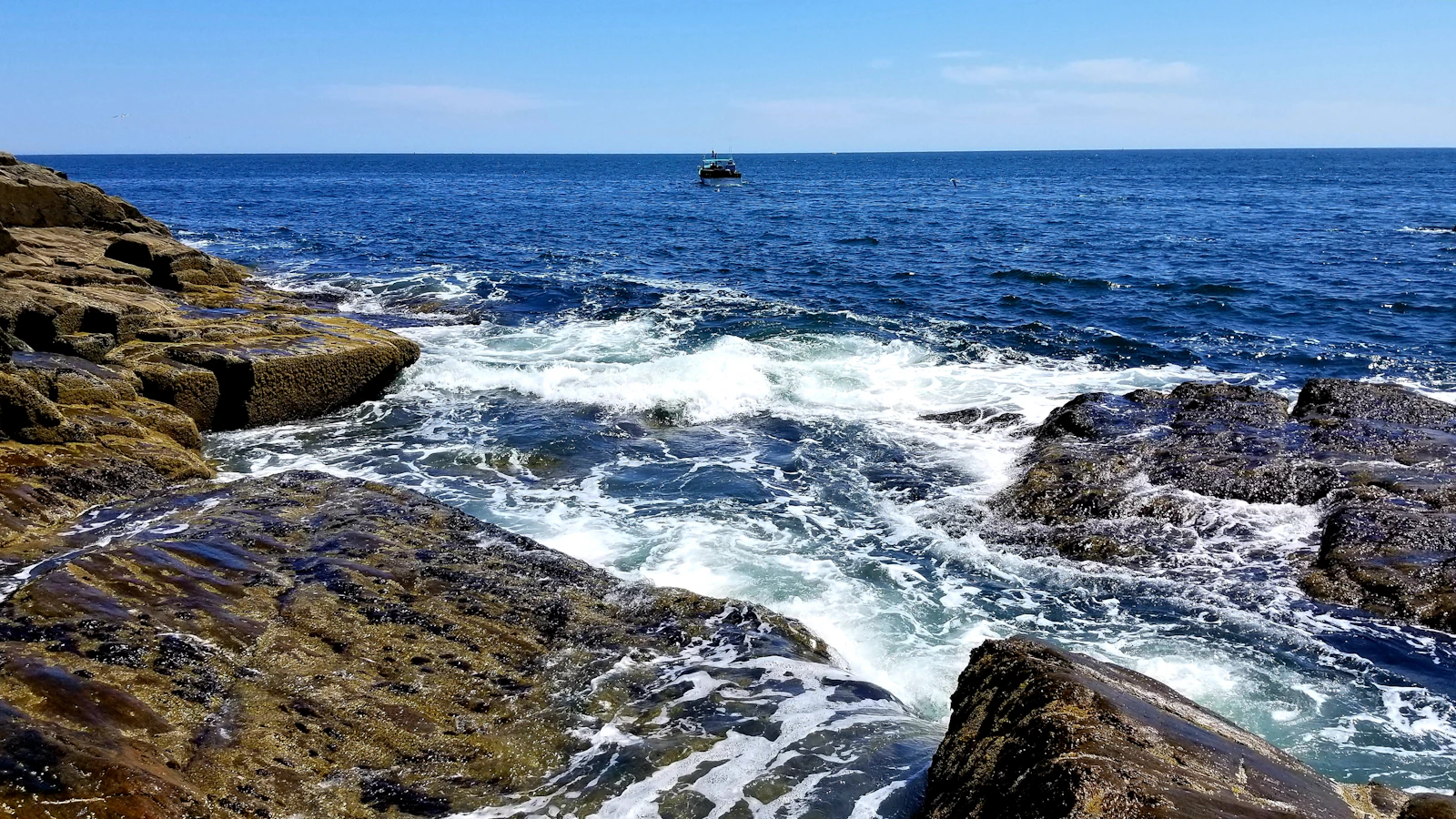 Portland, Maine photo 25 by Evan R