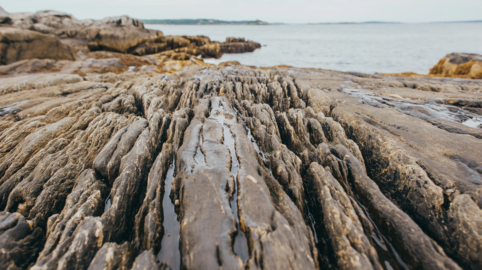 Portland, Maine photo 24 by Julie Haider
