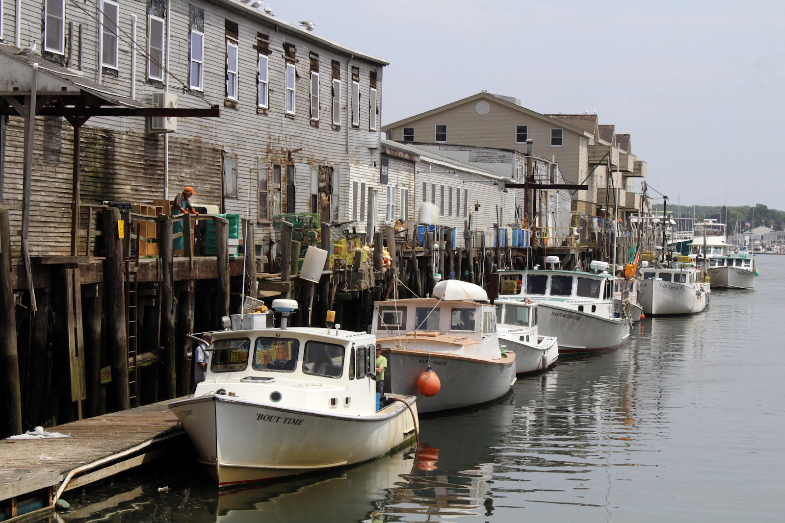 Portland, Maine photo 8 by Jeana Bala