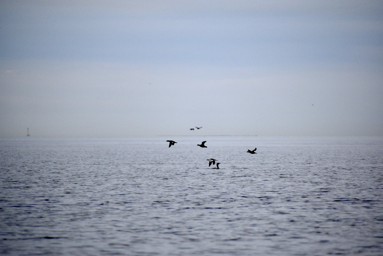 Annapolis, Maryland photo 9 by Sagnik Rana