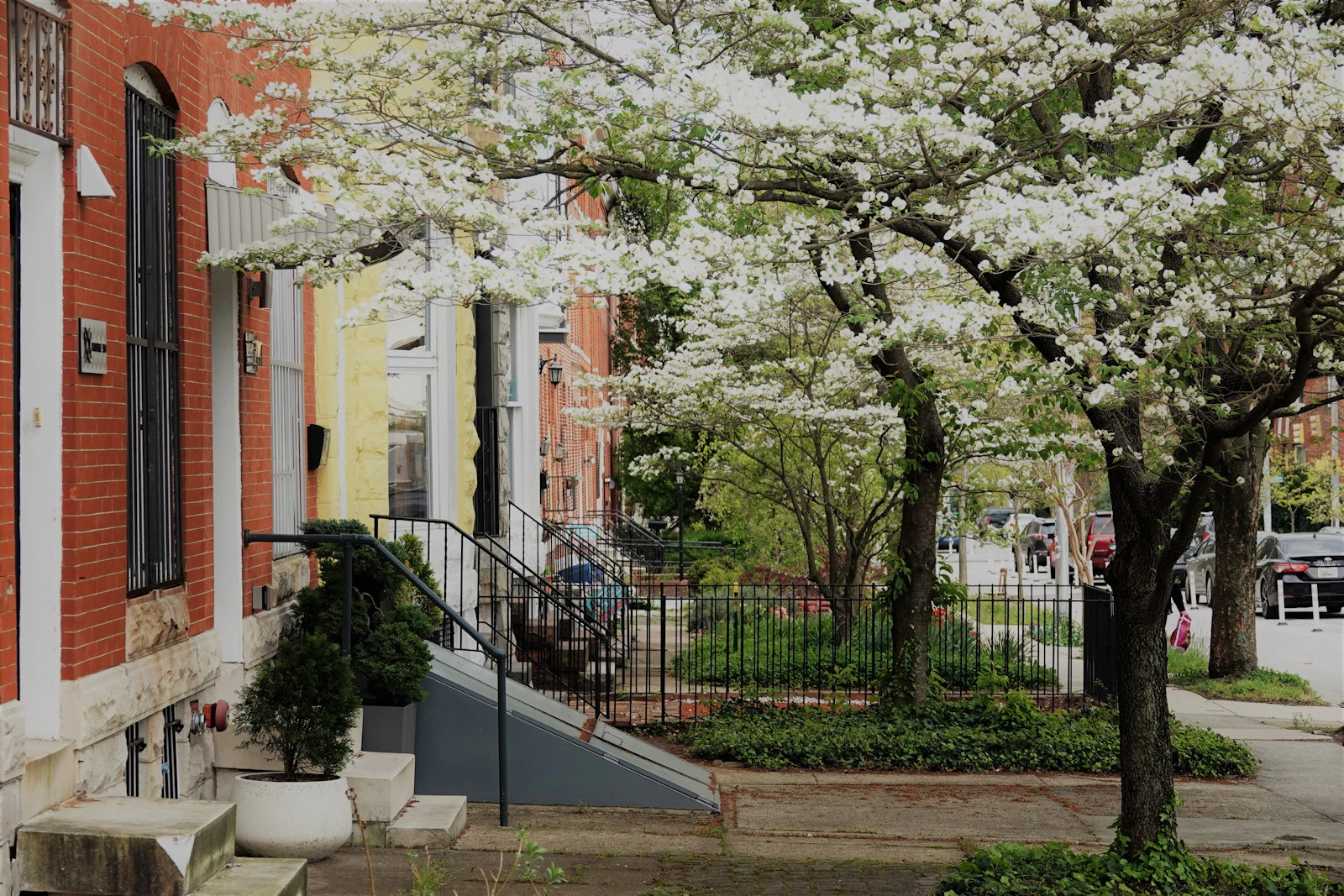Baltimore, Maryland photo 10 by Tia Cunningham