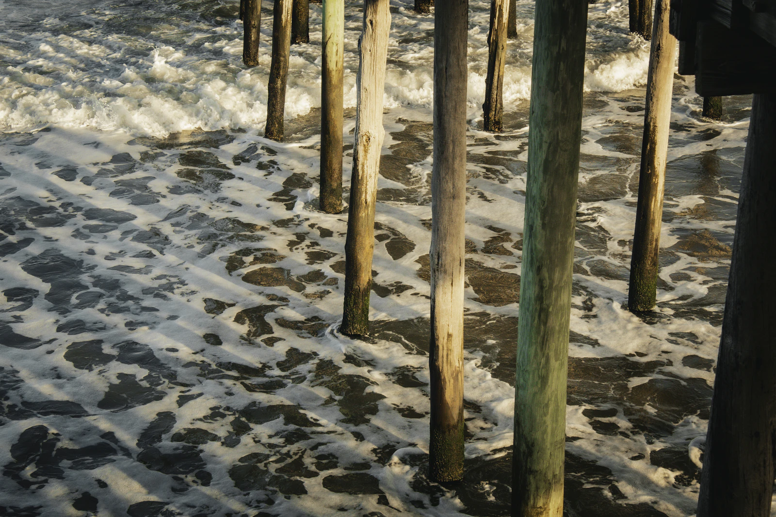Ocean City, Maryland photo 27 by Jeff McLain