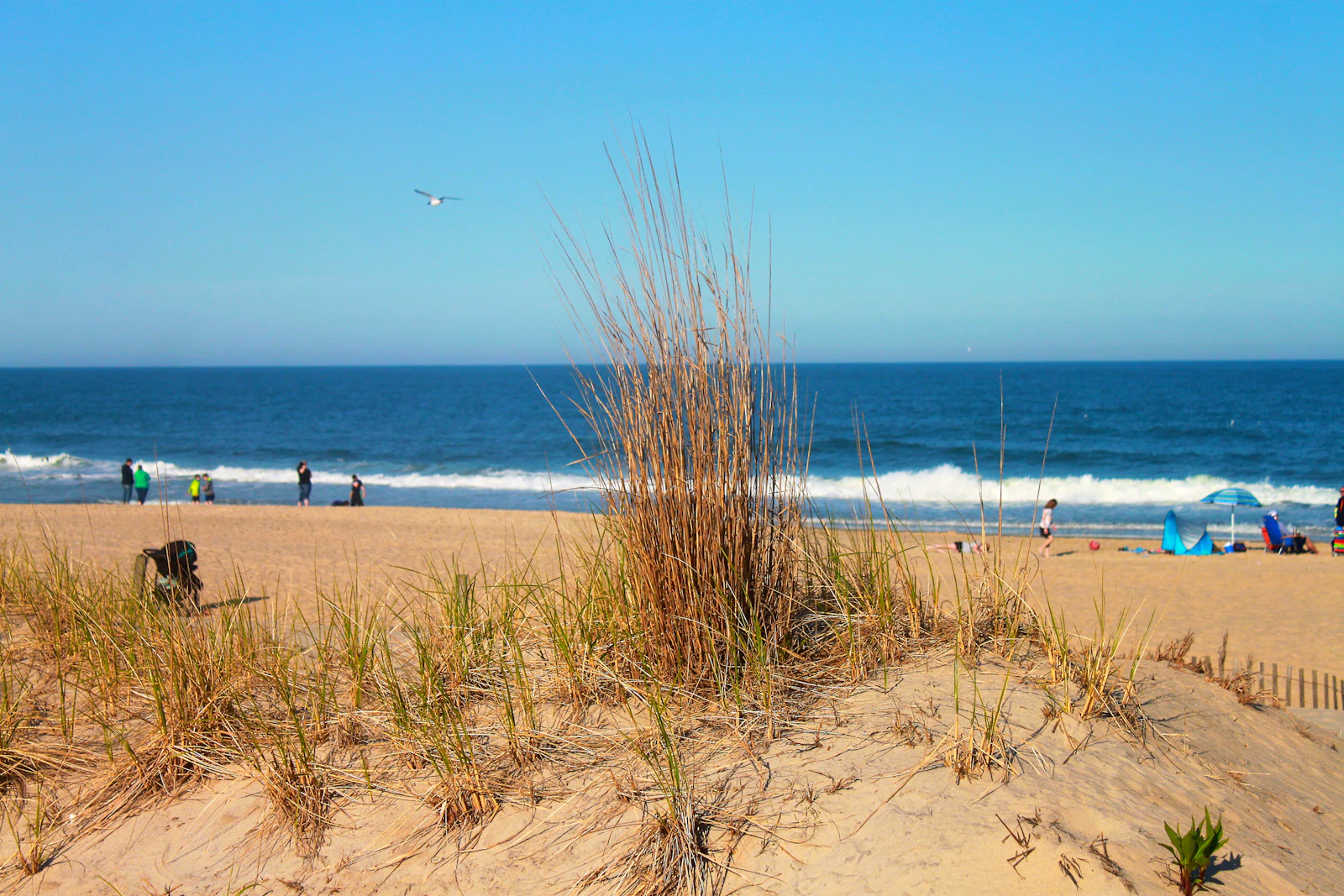 Ocean City, Maryland photo 8 by Jeff McLain