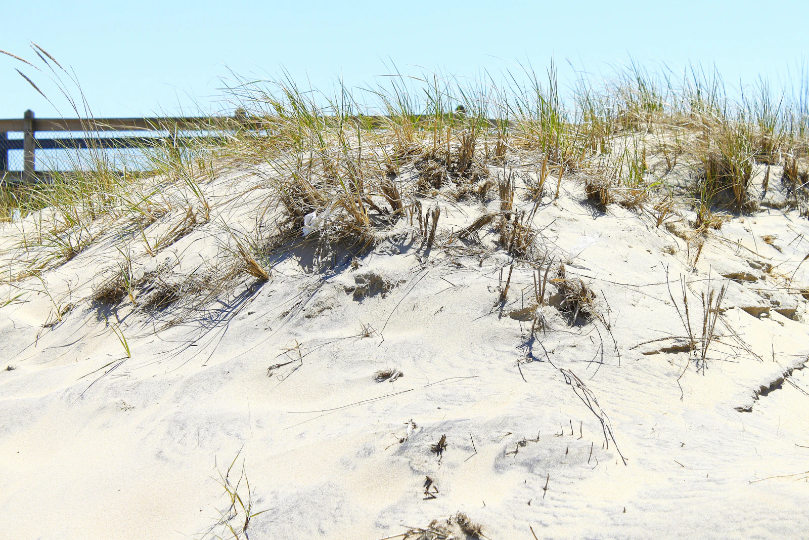 Ocean City, Maryland photo 20 by Jeff McLain