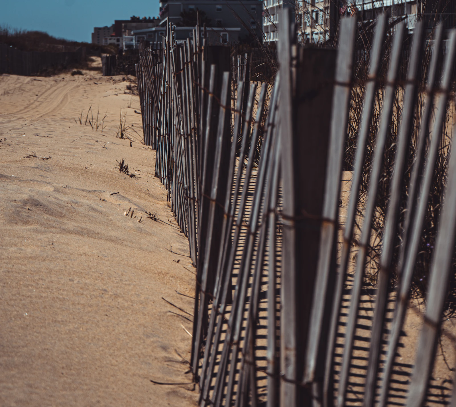 Ocean City, Maryland photo 16 by Chris Hardy